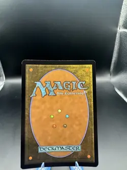 Foil Spider-punk (borderless) (207) M/NM Magic MTG Marvel's Spider-man - Image 2