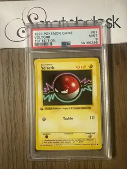 PSA 9 - Pokemon VOLTORB 67/102 - 1ST EDITION SHADOWLESS BASE SET - First MINT - Image 1