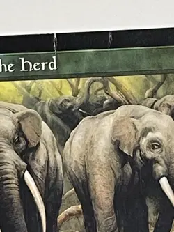 Call of the Herd - MTG - Odyssey - Magic Good - Heavy Play HP - Image 4