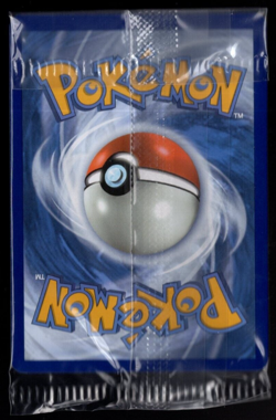 Stantler 125/189 Snowflake Holographic Holiday Calendar 2023 Sealed Pokemon TCG - Image 2