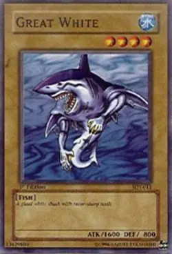 4x Near Mint Great White - SDY-011 - Common - 1st Edition - YuGiOh - Image 1