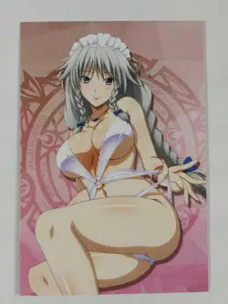 Grayfia Lucifuge Goddess Story Doujin - Frosted Waifu Card- Highschool DxD 12 - Image 1