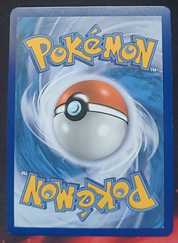 Pokemon Pikachu Volant Secret 110/108 XY12 Evolutions - Francais Fr - Image 2