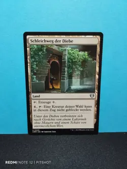 Schleichweg der Diebe / Rogue's Passage - MTG Magic - Image 1