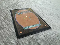 Forest - Foil - Onslaught Edition - 2002 - Magic The Gathering Card - Image 4