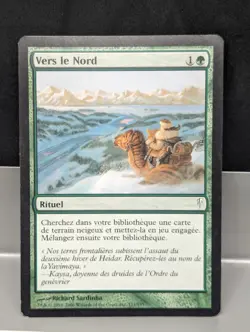Into the North FRENCH X1 MP Cold Snap Magic the Gathering - Image 1