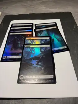 Magic the Gathering MTG Assorted Swamp Full Art x8 Land FOIL Cards NM/M Final - Image 2