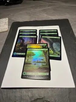 Magic the Gathering MTG Assorted Forest Full Art x8 Land FOIL Cards NM/M Final - Image 1