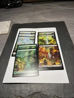 Magic the Gathering MTG Assorted Full Art x8 Land Cards NM/M Bloomburrow - Image 1