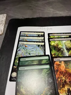 Magic the Gathering MTG Assorted Full Art x8 Land Cards NM/M Bloomburrow - Image 3