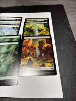 Magic the Gathering MTG Assorted Full Art x8 Land Cards NM/M Bloomburrow - Image 4