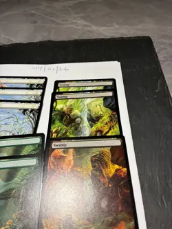 Magic the Gathering MTG Assorted Full Art x8 Land Cards NM/M Bloomburrow - Image 5