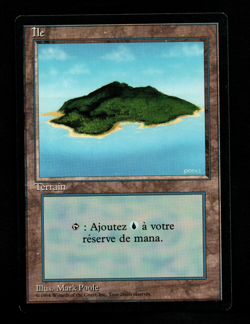 MRM FR/VF �le - Island Version 2 EX MTG magic FBB - Image 1