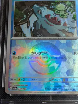CGC 10 Totodile Poke Ball Holo 032/187 Terastal Fest ex sv8a Pokemon Card - Image 5