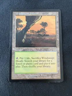 Windswept Heath Onslaught MTG Magic The Gathering Card - Image 1