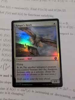 MTG Ranger’s Hawk Foil AFR 37/281 Adventures in the Forgotten Realms NM - Image 1