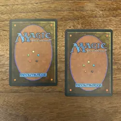 2x Willow Priestess NM+ NEVER PLAYED MTG Homelands Magic VINTAGE FAST SHIPPING - Image 2