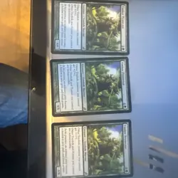 Timber Protector Lorwyn Regular - Image 1