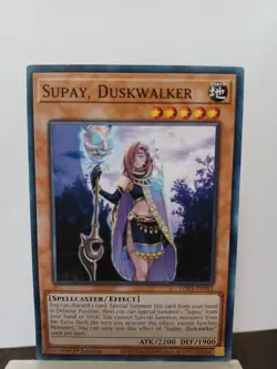 YGO-1x-LP-Supay, Duskwalker - LDS3-EN051 - Common - 1st Edition - Image 1