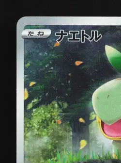 Turtwig 206/172 NM VSTAR Universe Japanese Pokemon Card TCG - Image 4