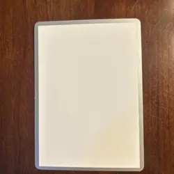 RARE 2009 World Championships Silver Border Error Pokemon Card - Image 3