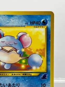 Pokemon Card Marill No.183 Intro Pack Neo Totodile Half Deck Japanese LP! - Image 5
