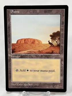 Plains - Blue Pack (MacNeil) Promos: APAC Lands ~LP~ Magic The Gathering MTG - Image 1