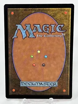 Plains - Blue Pack (MacNeil) Promos: APAC Lands ~LP~ Magic The Gathering MTG - Image 2