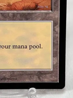 Plains - Blue Pack (MacNeil) Promos: APAC Lands ~LP~ Magic The Gathering MTG - Image 4