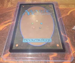 Multiversal Passage Borderless Marvel's Spider-Man Magic the Gathering MTG - Image 2