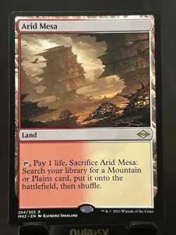 Arid Mesa - Modern Horizons 2 (MH2) #244 NM MTG Non-Foil Fetch Land - Image 1