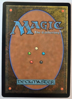 Wrenn and Realmbreaker (Borderless) - March of the Machine (MOM) #322 MTG NM - Image 2