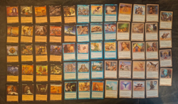 116 different Mirage MTG Cards from card collection - Magic the Gathering - Image 2