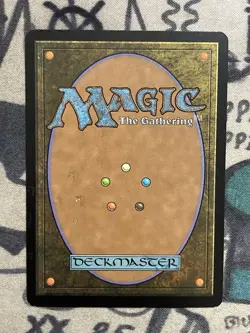 MTG Swamp Signed By Artist Shadowmoor (292/301) Regular Common Basic Land - Image 2