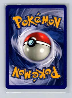Base Set #017/102 Beedrill Rare Pokemon NM - Image 2