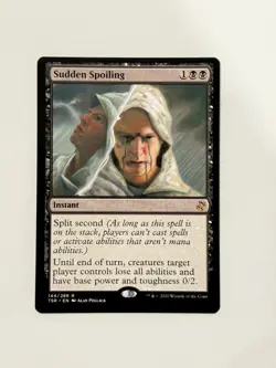 Sudden Spoiling (TSR) 144 - Image 1