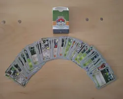 Pokemon TCG: 2016 World Championships Deck - JESPER ERIKSEN (BEBE) Complete VG - Image 2