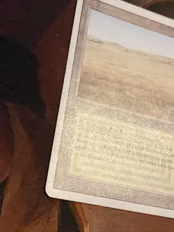 Savannah X1 Mtg Revised Lp/Lp- - Image 3