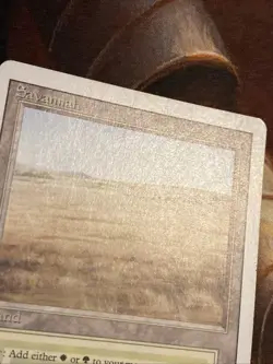 Savannah X1 Mtg Revised Lp/Lp- - Image 5