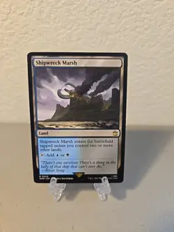 MTG Shipwreck Marsh LP Universes Beyond Doctor Who - Image 1