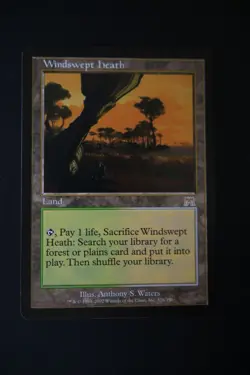 MTG Windswept Heath - Onslaught Regular nonfoil (Very Good Condition) - Image 1