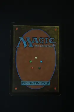 MTG Windswept Heath - Onslaught Regular nonfoil (Very Good Condition) - Image 2