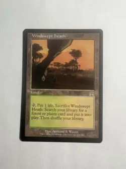 Windswept Heath Onslaught Regular Great Condition Mtg Magic The Gathering - Image 1