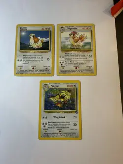 Pokemon TCG Pidgey Pidgeotto & Pidgeot Evolution Bundle Base Set & Jungle Holo - Image 1