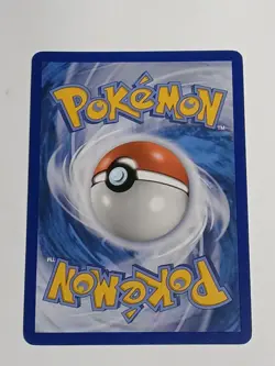 Wally RC27/RC32 Generations: Radiant Collection Pokemon TCG - Image 3