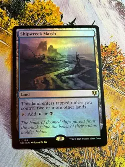 MTG: Innistrad Remastered: Shipwreck Marsh Foil #0284 Rare - NM - Image 2
