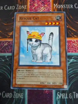 Yu-Gi-Oh! Rescue Cat DR3-EN153 Common Unlimited Near Mint - Image 1