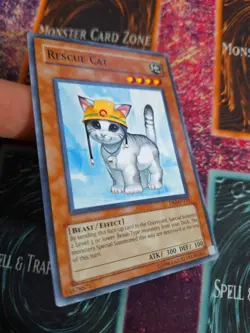 Yu-Gi-Oh! Rescue Cat DR3-EN153 Common Unlimited Near Mint - Image 2