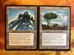 MTG 2 x Rare Land Card Lot Ice Age Lightly Played Condition Vintage!!! - Image 1