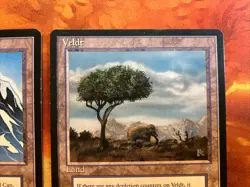 MTG 2 x Rare Land Card Lot Ice Age Lightly Played Condition Vintage!!! - Image 4